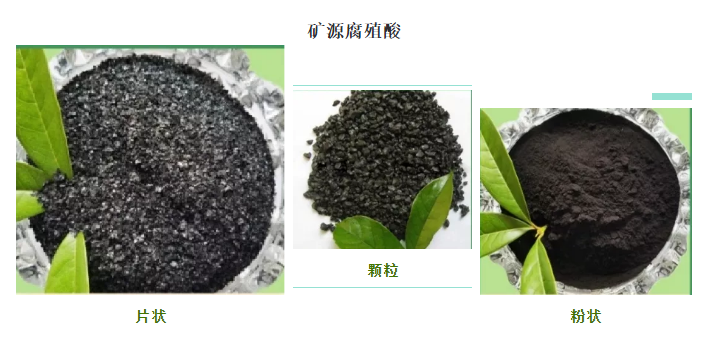 看過來！帶你了解司普沃赫蔓核心成分-礦源腐殖酸