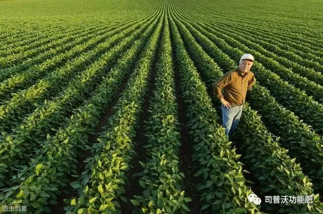 七種不同作物的科學(xué)輪換茬口種植？看了讓你不增產(chǎn)都難！