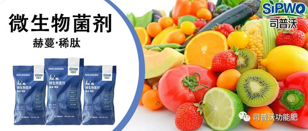 赫蔓微生物菌劑-分解毒素、改良土壤、調(diào)節(jié)生命活動(dòng)、抑制土壤病菌