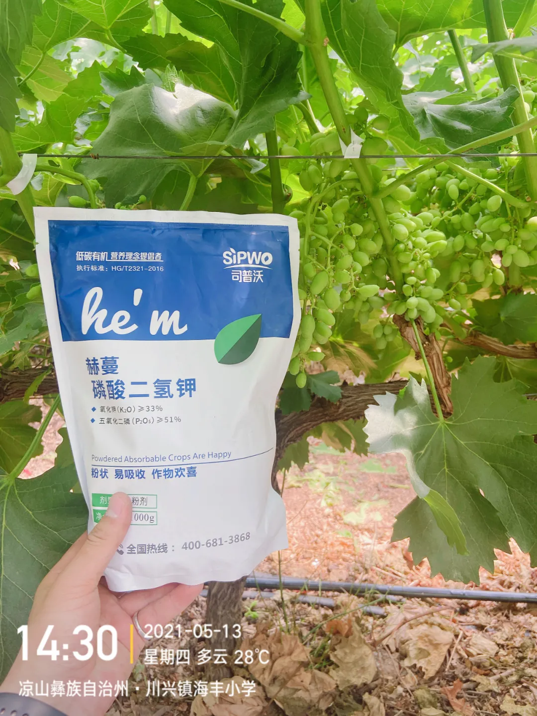 磷酸二氫鉀的辨別真假現(xiàn)場(chǎng)，99%以上是假貨！