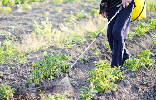 在田蔬菜如何渡過冷冬？不要著急，司普沃帶著抗寒防凍措施來了
