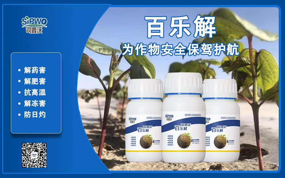 司普沃赫蔓百樂解，解凍害、解肥害、解藥害，棉花上再顯神威！