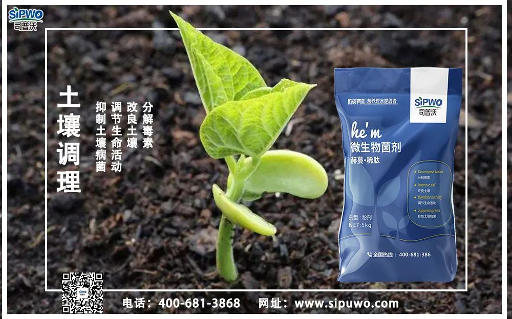 【農(nóng)技知識】土壤出問題了，肥料用再多也別想增產(chǎn)！