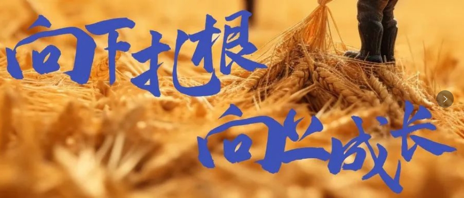 向下扎根，向上成長(zhǎng)，司普沃6月市場(chǎng)服務(wù)一線效果反饋