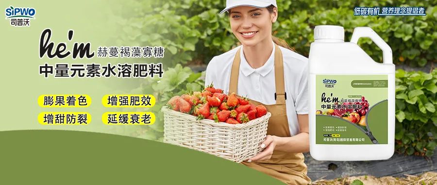 褐藻寡糖--中量元素水溶肥|膨果著色、增強肥效、增甜防裂、延緩衰老