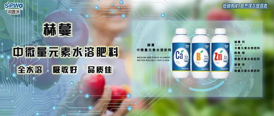 中微量元素鈣、硼、鋅|移動快、吸收好、營養(yǎng)全、品質(zhì)佳