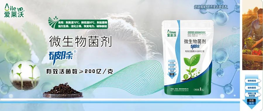 愛萊沃·微生物菌劑_破除|沃土、生根、抗病一步到位