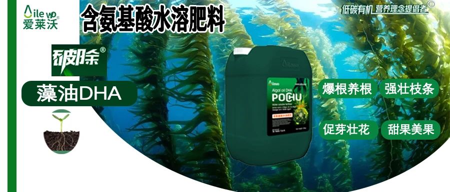 愛萊沃·破除藻油DHA|爆根養(yǎng)根、強壯枝條、促芽壯花、甜果美果