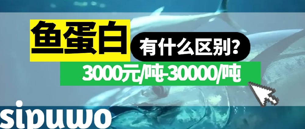 3000-30000元/噸的魚蛋白有多大差距？一篇文章告訴你！