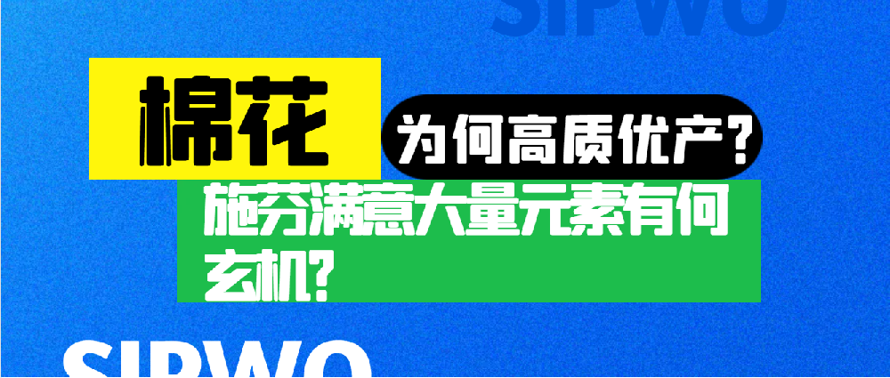 棉花憑啥高產(chǎn)優(yōu)質(zhì)？施芬滿意大量元素有何玄機？